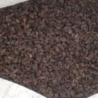 کشمش اورگانیک ملکان مخصوص|خوردنی و آشامیدنی|تبریز, |دیوار