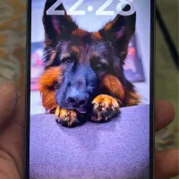 آیفون ۱۴پرومکس