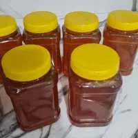 فروش عسل صددرصد طبیعی و جنگلی|خوردنی و آشامیدنی|چمستان, |دیوار