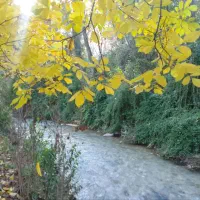 سوییت و سکو اجاره ای سربست سپیدان