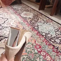 کفش|کیف، کفش، کمربند|قم, نیروگاه|دیوار