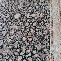 فرش ۹ متری|فرش|بندرعباس, |دیوار