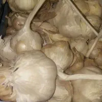 خوراکی و آشامیدنی