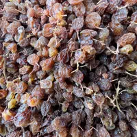 کشمش تیزابی و آفتابی از انگور تیزابی