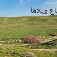 قطعات زمین فروشی جاده قدیم نیشابور نرسیده ملک آباد|فروش زمین و ملک کلنگی|ملک‌آباد, |دیوار