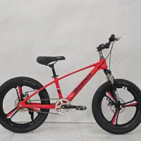 دوچرخه سایز۲۰ آفرود و آلومینیوم|دوچرخه، اسکیت، اسکوتر|تبریز, |دیوار