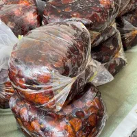خرما خاصویی
