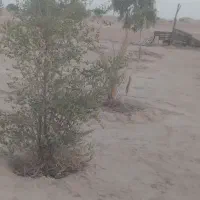 فروش ۶۰۰ متری