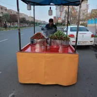 گاری باقالی ولبو آماده با امکانات