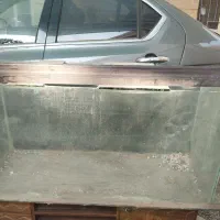 اکواریوم