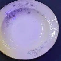 ظروف پذیرایی