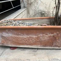 گلدان های سفالی|گل و گیاه طبیعی|تهران, ونک|دیوار