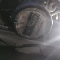 باند خربزه ای