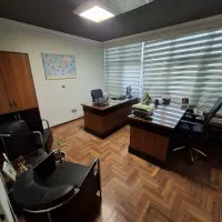 نقلی بر پاسداران