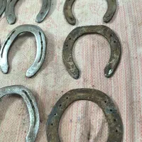 نعل اسب|اسب و تجهیزات اسب‌سواری|زابل, |دیوار