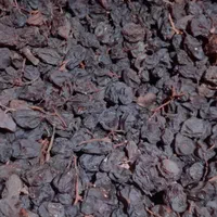 کشمش بوانات مویز دشمن زیاری کشمش بیضا|خوردنی و آشامیدنی|شیراز, شهرک مدرس|دیوار
