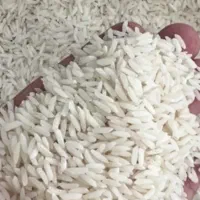 برنج هاشمی