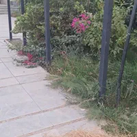 باغبانی|خدمات باغبانی و درختکاری|شوشتر, |دیوار