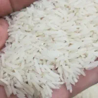 برنج هاشمی درجه یک