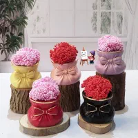 جا براشی پاپیونی و شات گل رز