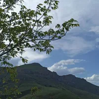 داوطلبانه