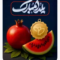 یک واحد تمیز نقلی