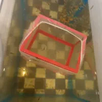 اکواریوم وماهی و لوازم معاوضه باپرنده|ماهی|علی‌آباد کتول, |دیوار