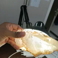 سنگ ژیپس|زیورآلات و اکسسوری|بومهن, |دیوار