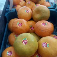 قیمت به روز میوه