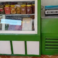 یخچال مغازه