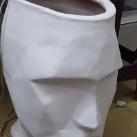 گلدان چهره کاملا سالم