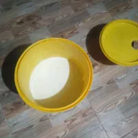 شیر گاو