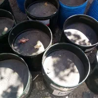 فروش قیر بشکه