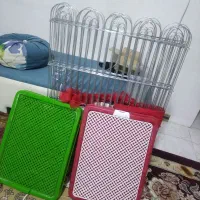 پارک حیوانات  با پد  برای  جیش کردن سگ