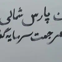 فروش زمین ۳۰۰۰۰۰ متر پارس شمالی بوشهر|فروش دفتر صنعتی، کشاورزی، تجاری|بردخون, |دیوار