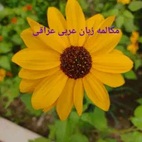 آموزش مکالمه عربی عراق