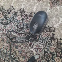 موس نو نو
