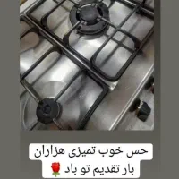 شوینده نانو و قوی بودیت|مواد شوینده و دستمال کاغذی|کرمانشاه, |دیوار