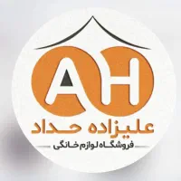 استخدام خانم مسلط به کامپیوتر