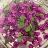 وسایل  منزل|گلیم، جاجیم، گبه|نهاوند, |دیوار