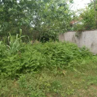 زمین مسکونی