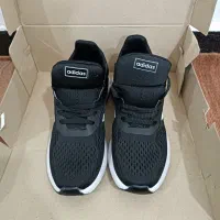 کفش نو|کیف، کفش، کمربند|دوگنبدان, |دیوار