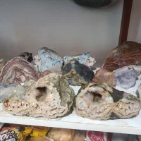 شجر پاییزه|جواهرات|قزوین, |دیوار