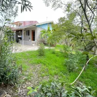 یک ملک ارزنده تک برگ سند