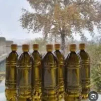 طلای سبز اصل