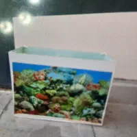 آکواریوم. شیشه ای در حد نو با لوازم جانبی