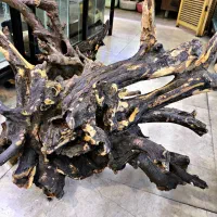 تنه آبنوس و انواع چوب مخصوص آکواریم و ماهی