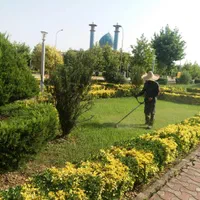 خدمات باغبانی