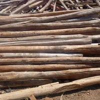 خرید چوب خشک سقفی و ضایعات باغی با بالاترین قیمت|خدمات باغبانی و درختکاری|زنجان, |دیوار