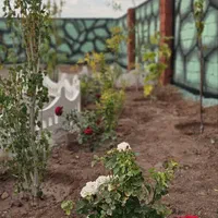 باغچه با سند تک برگ/۲۳۲ متر/چسب بافت